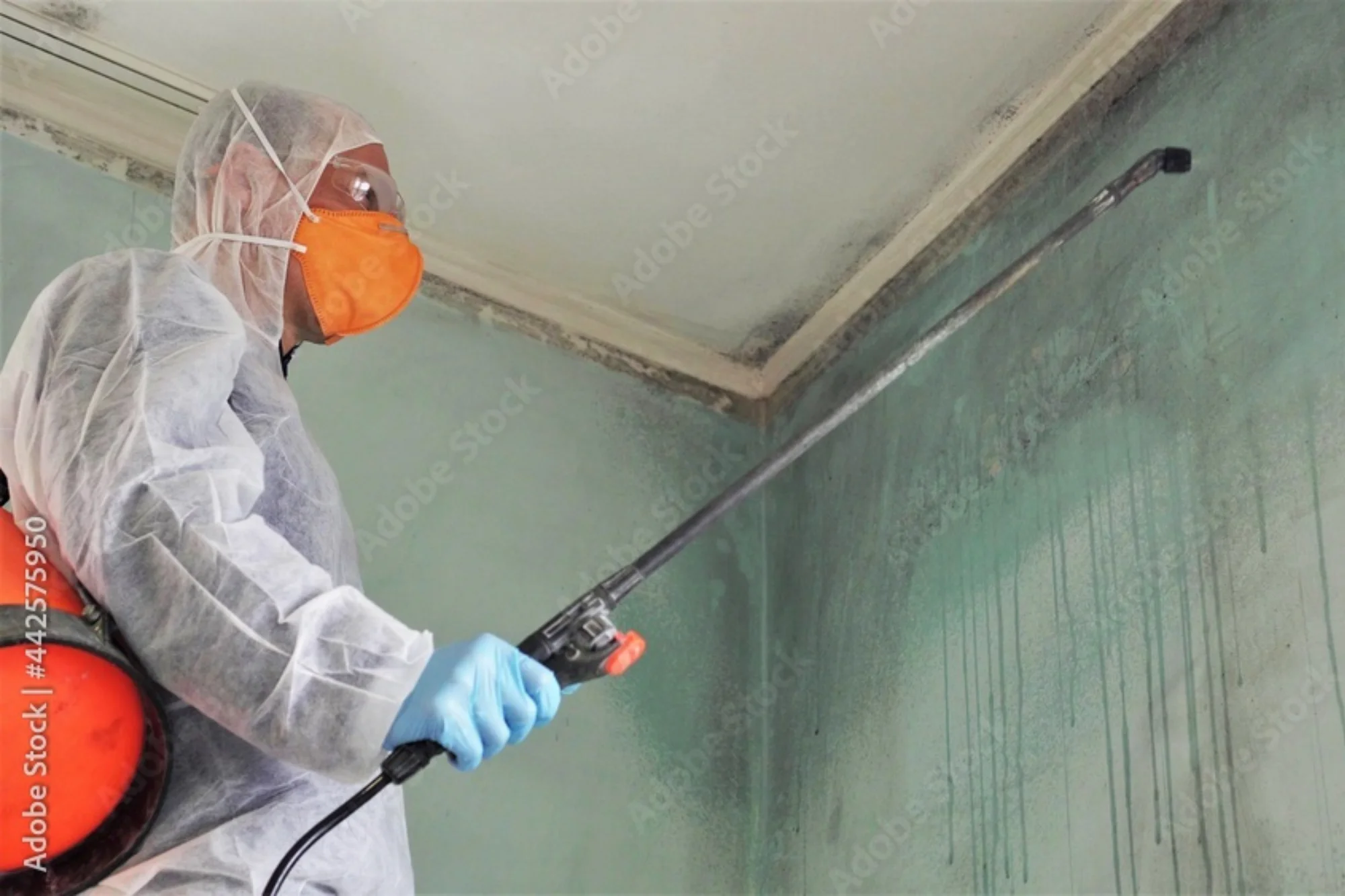 Mold Remediation in Tucker, GA